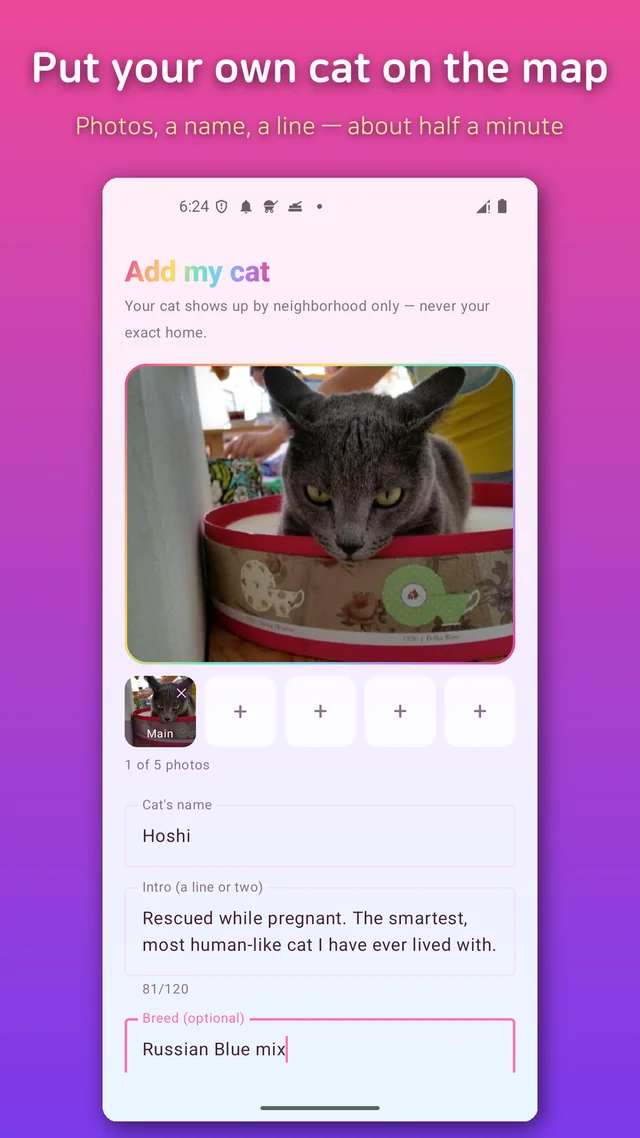 The add-cat screen with photos, a name and a short intro, before the pin is placed