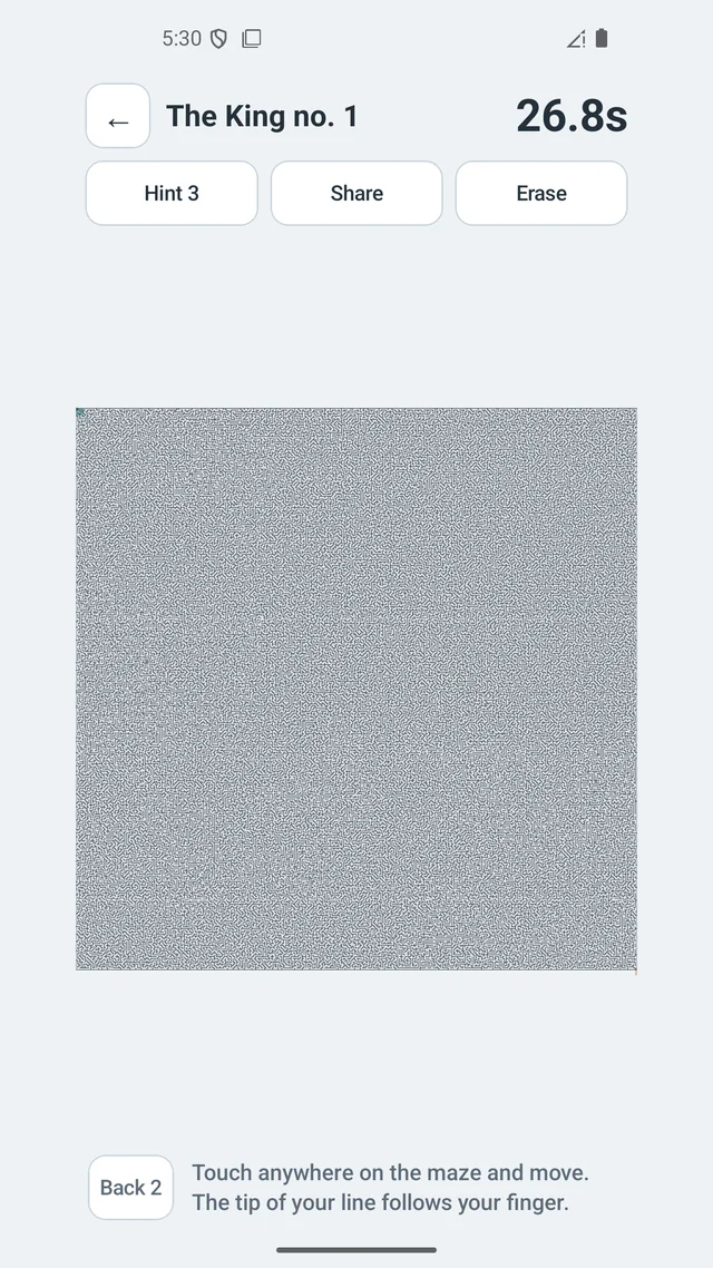 Zoomed out view of the 300x300 King maze puzzle