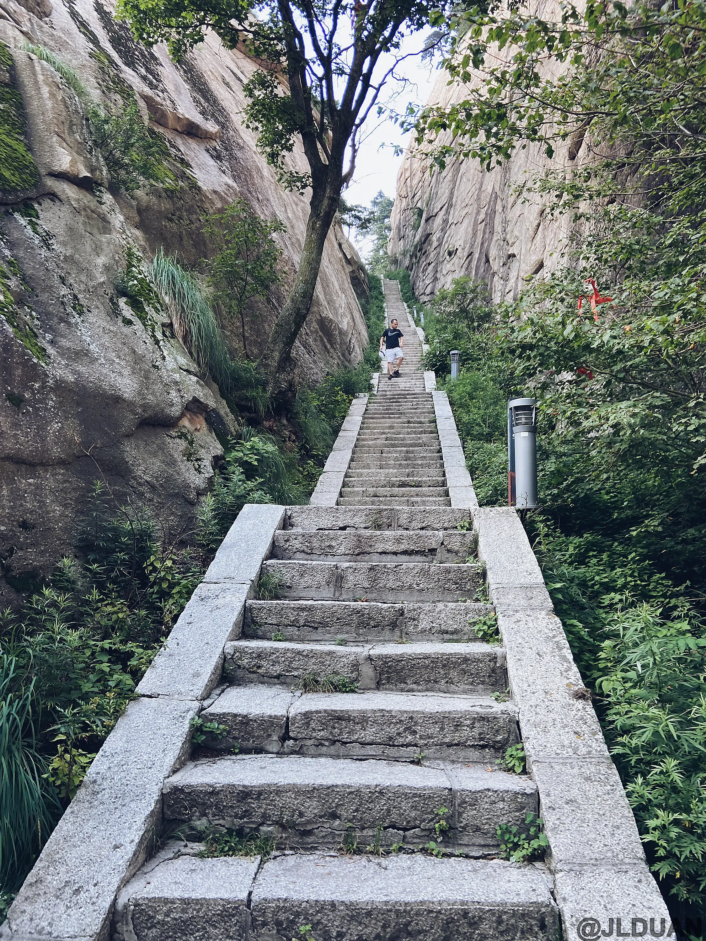 huashan-mountain-tour-2021-17