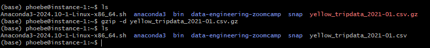 image-20250115175122424