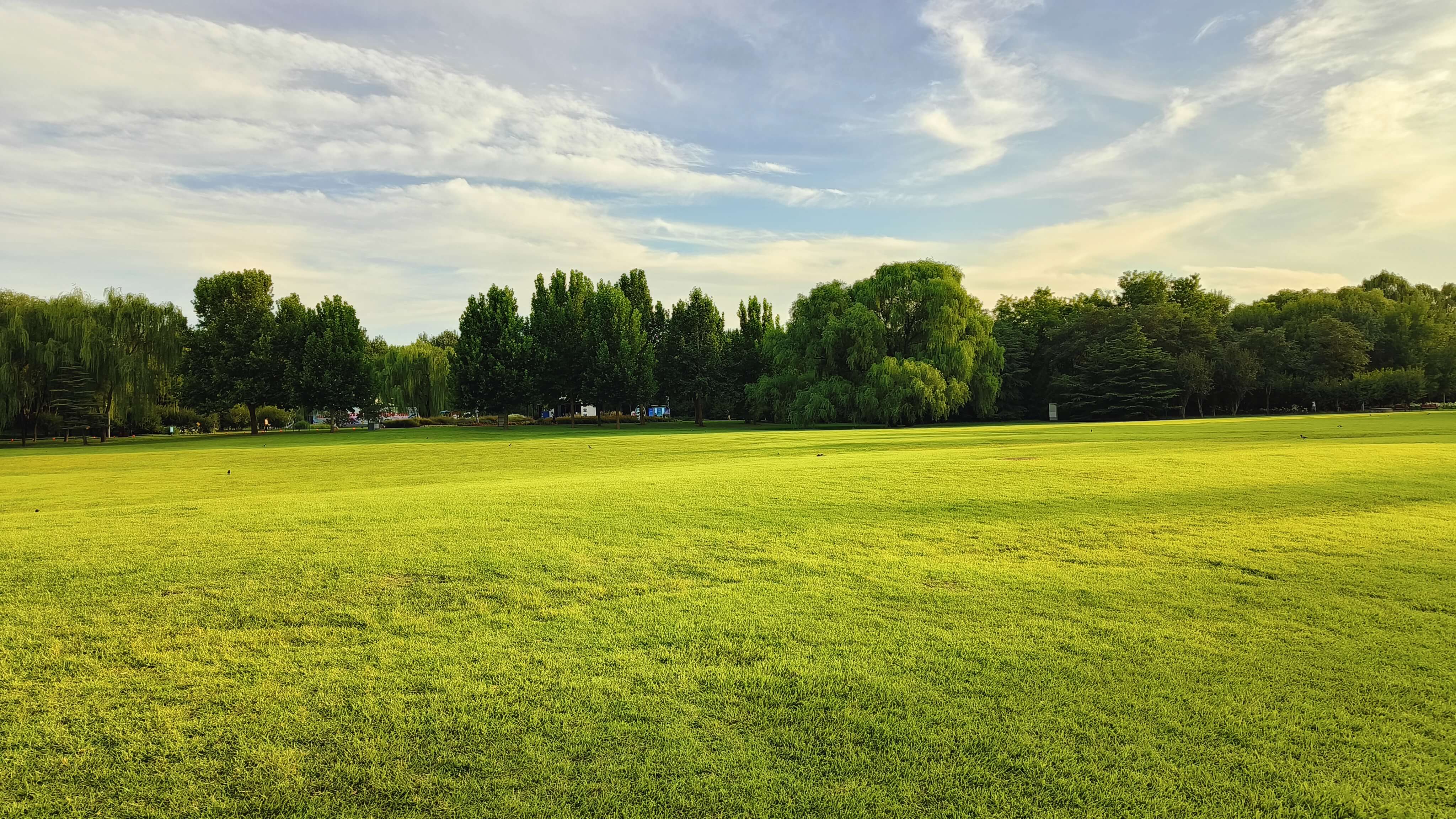 海淀公园大草坪