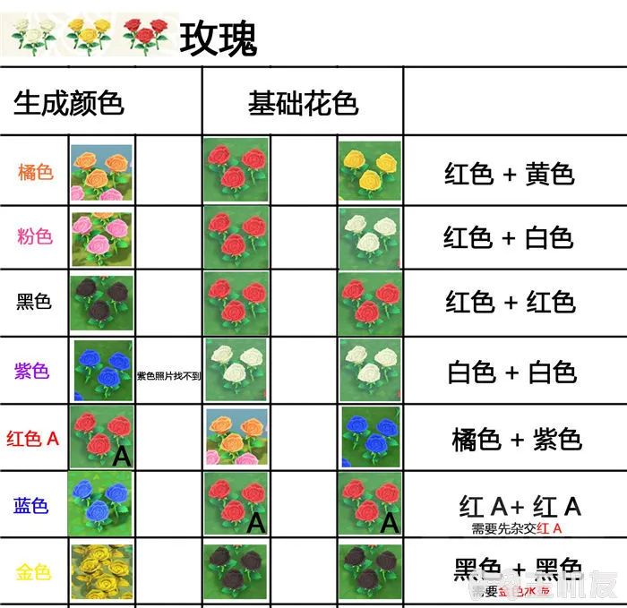 动物森友会杂交花怎么种出 杂交花种配方一览