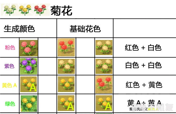 动物森友会杂交花怎么种出 杂交花种配方一览