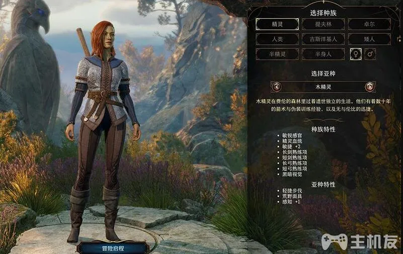 博德之门3精灵种族怎么样 精灵种族属性技能介绍