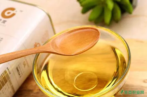 亚麻籽油的功效与作用及亚麻高产种植栽培