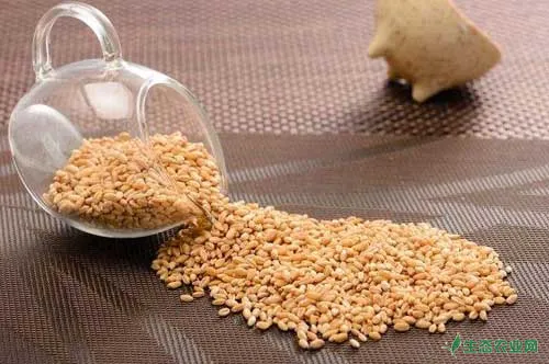 小麦种植技巧：小麦科学拌种与小麦叶面喷肥要点