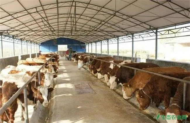 养牛场 环境卫生 管理工作