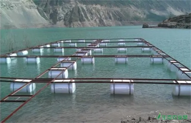 水库网箱养鱼技术