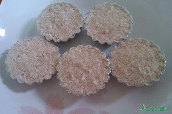 花生饼怎么做肥料养花 园林花卉 农业技术 生态农业网