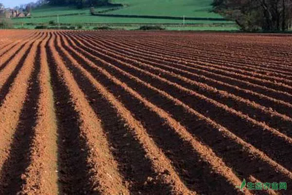 土壤对作物产量和品质的影响有多大？