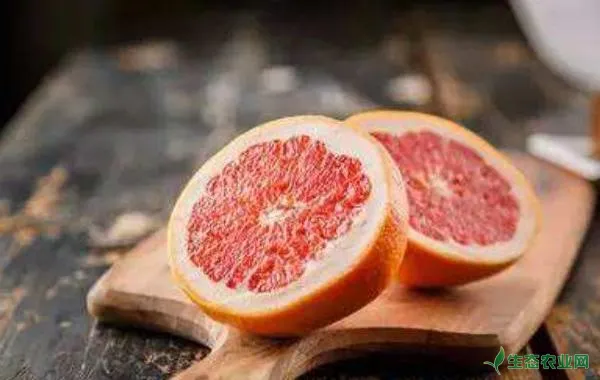 葡萄柚的功效与作用及禁忌，葡萄柚营养价值