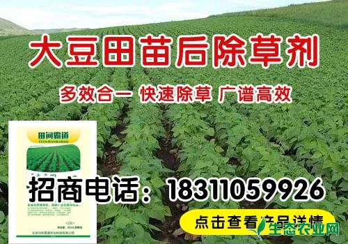 大豆田除草剂产品介绍及其使用方法