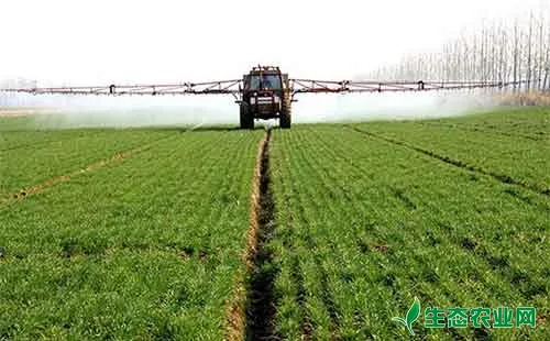 小麦田除草剂存在的认识误区