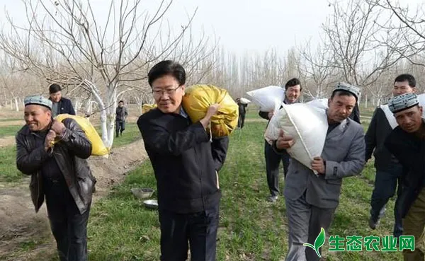 核桃树什么时候施肥，核桃树施肥时间