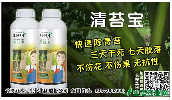 柑橘青苔病用什么药防治，柑橘青苔病的治疗