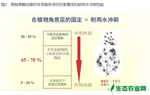 葡萄霜霉病流行成灾，选择什么杀菌剂才能有效控制呢？