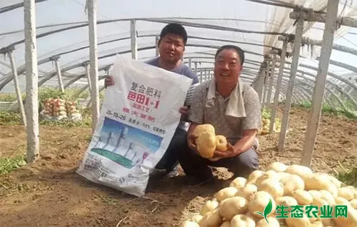 芭田复合肥：土豆种植户的最爱