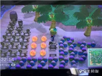 switch动物之森怎么快速5星评价 动森岛屿5星评价速成方法