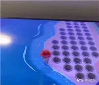 动物森友会鲟鱼在哪里钓到 鲟鱼刷新位置一览