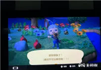 集合啦动物森友会狼蛛岛在哪里 狼蛛岛怎么去