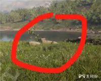 荒野大镖客2怎么无限卖马赚钱 教你利用卖马赚钱技巧