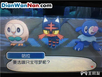 精灵宝可梦日月御三家怎么选 没有想到推荐它