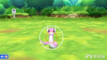 精灵宝可梦皮卡丘伊布闪光哈克龙在哪里捕捉 哈克龙捕捉位置