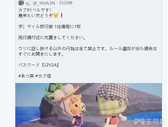 动物森友会将高价大头菜快速变现的超实用攻略