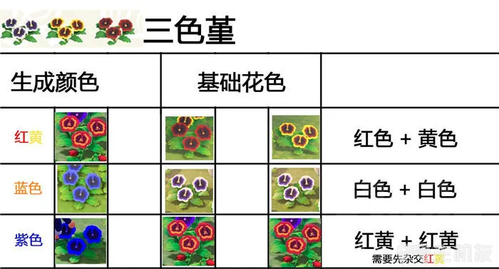 switch动物之森杂交花攻略 教你种出奇异花朵