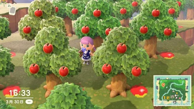 switch动物森友会怎么种植树木 动森种植树木攻略心得