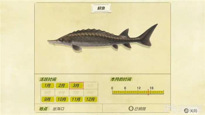 switch动物之森3月份北半球生物资料与收集难点心得