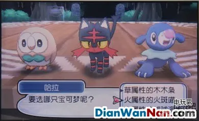 精灵宝可梦日月特性有什么作用 全特性效果说明