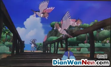 精灵宝可梦日月NPC可交换的精灵与地点要求