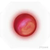 紫塞秋风道具大全 全武器+全武功秘籍+全合成药品效果汇总(47)