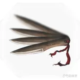 紫塞秋风道具大全 全武器+全武功秘籍+全合成药品效果汇总(95)