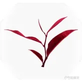 紫塞秋风全任务道具+全疗伤道具汇总(33)