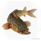 紫塞秋风全任务道具+全疗伤道具汇总(35)