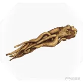 紫塞秋风全任务道具+全疗伤道具汇总(57)