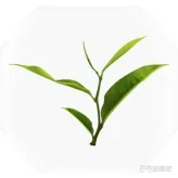 紫塞秋风全任务道具+全疗伤道具汇总(58)