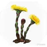 紫塞秋风全任务道具+全疗伤道具汇总(59)