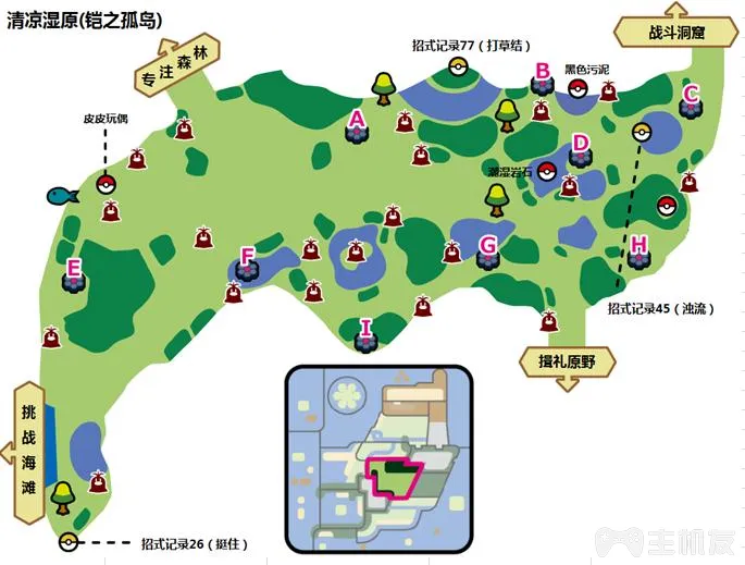 宝可梦剑盾铠之孤岛清凉湿原宝可梦出现以及地鼠分布(7)