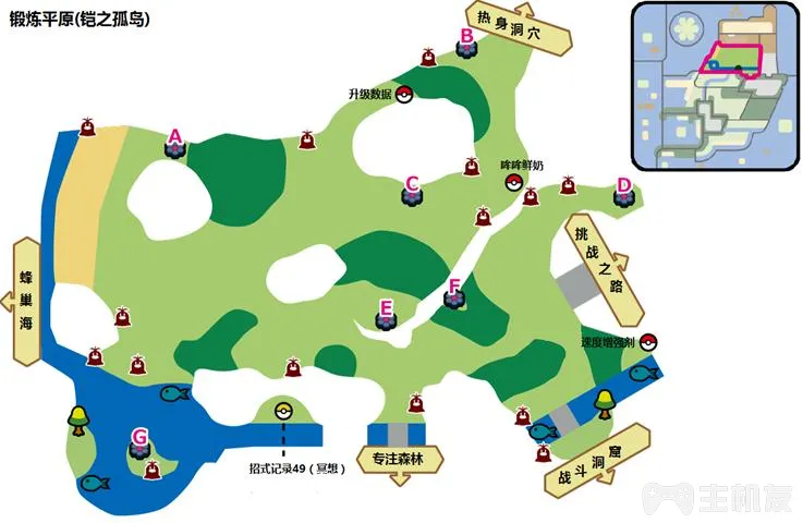 宝可梦剑盾铠之孤岛锻炼平原宝可梦出现以及地鼠分布(3)