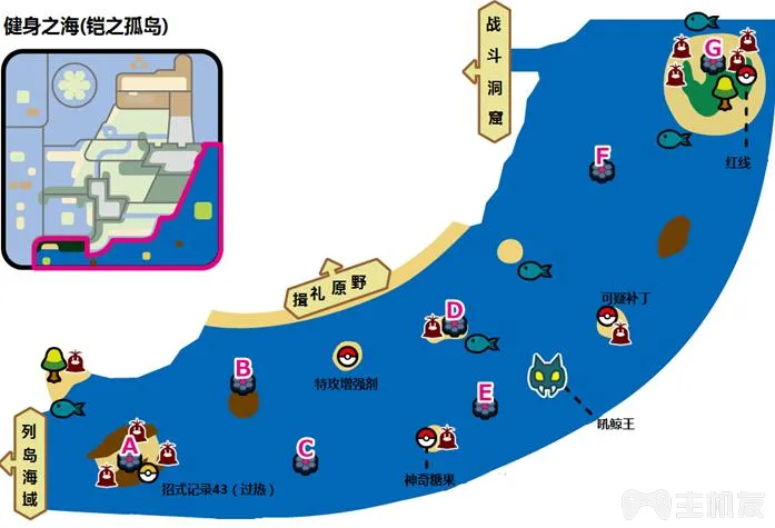 宝可梦剑盾铠之孤岛健身之海宝可梦出现以及地鼠分布