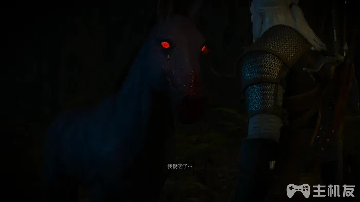 巫师3图文攻略 全主线任务+全剧情流程(24)