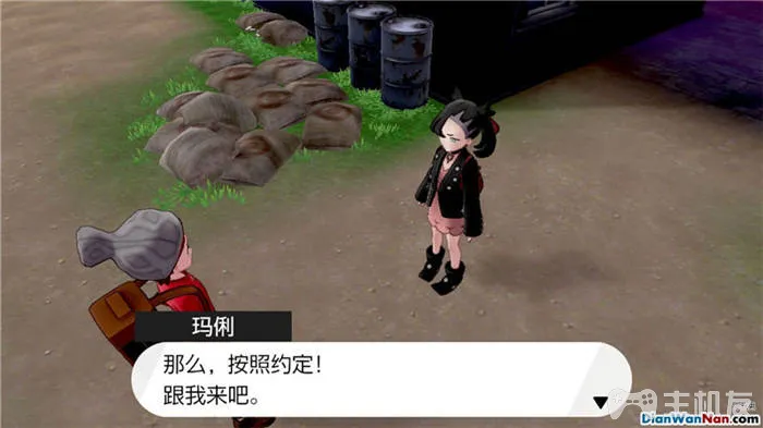 宝可梦剑盾主线剧情一周目图文攻略 口袋妖怪剑盾流程通关攻略(24)
