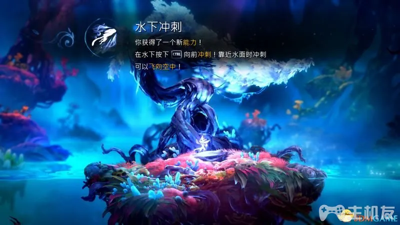 奥日与鬼火意志图文攻略 全流程+全支线+全收集(32)