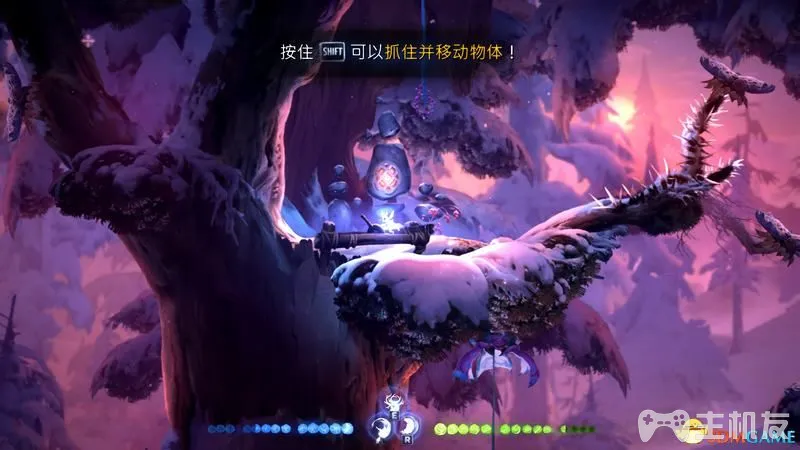 奥日与鬼火意志图文攻略 全流程+全支线+全收集(36)