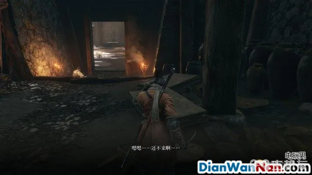 只狼影逝二度图文攻略 boss打法详解+支线任务收集(45)