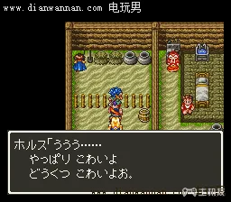 SFC勇者斗恶龙6图文攻略 DQ6全剧情任务详解(3)