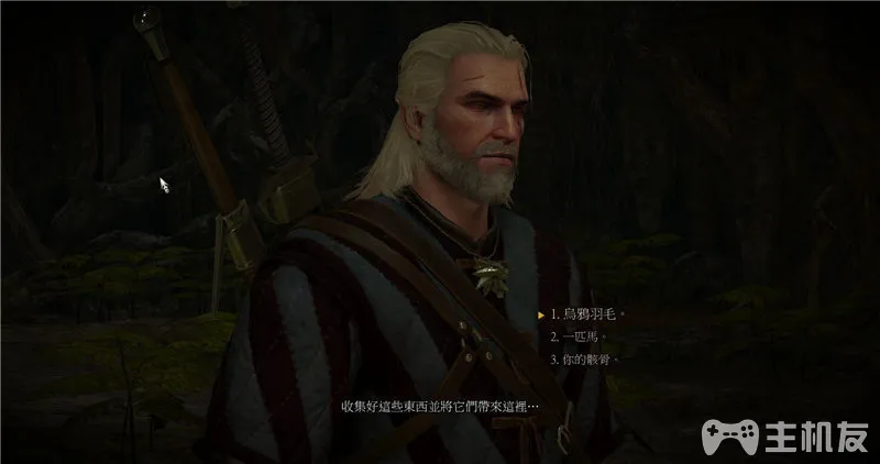 巫师3全主线剧情流程图文攻略+昆特牌3全支线详细流程攻略(29)